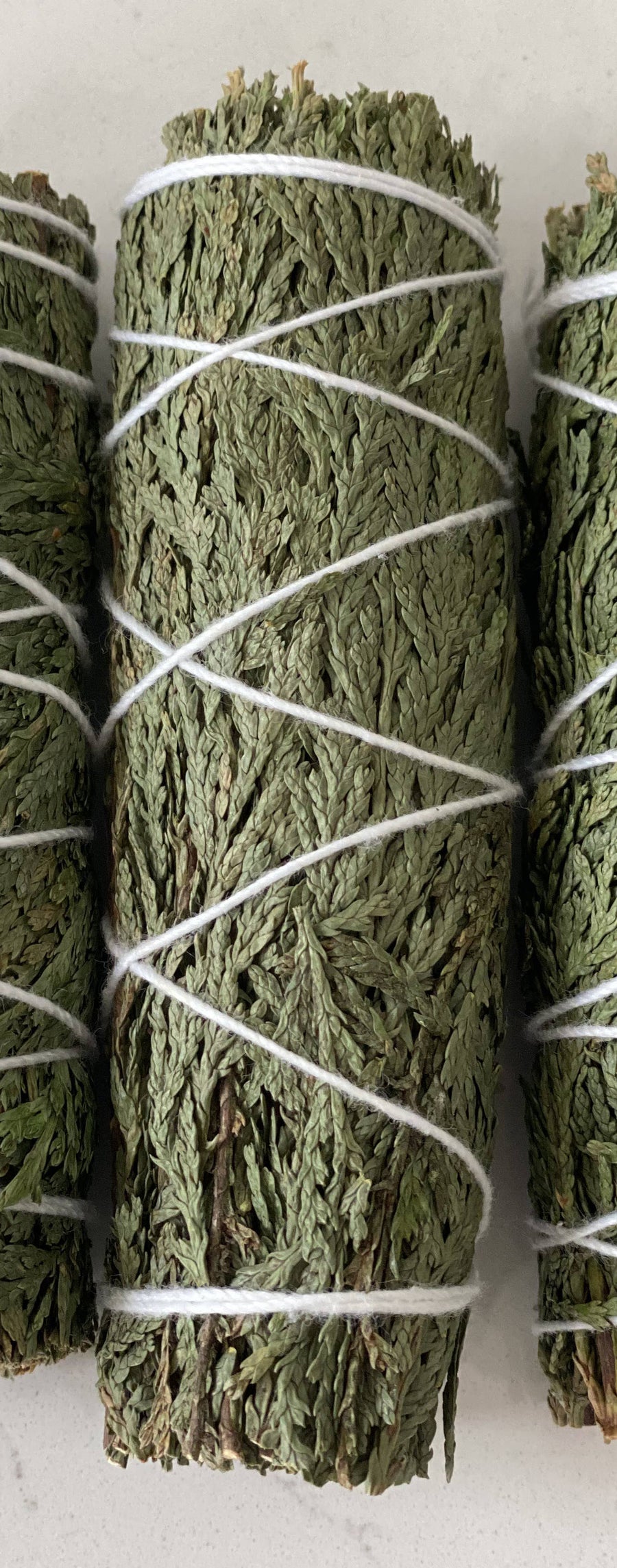 Cedar Bundle
