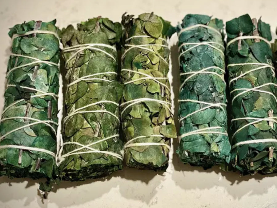 Eucalyptus White Sage Bundles