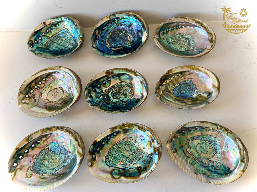 Abalone Shell Ritual Bowls