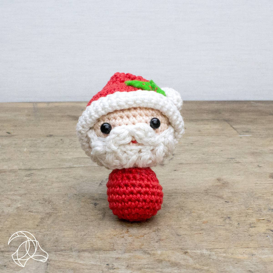 Mini Santa Claus Crochet Kit